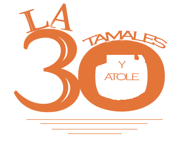 logo30